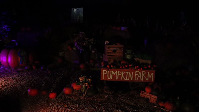 Pumpkin Patch - Howl'O'ween 2023
