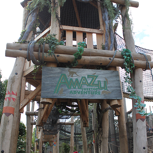 Amazu Treetop Adventure Icon