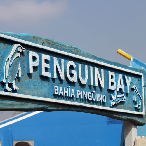 Penguin Bay Icon