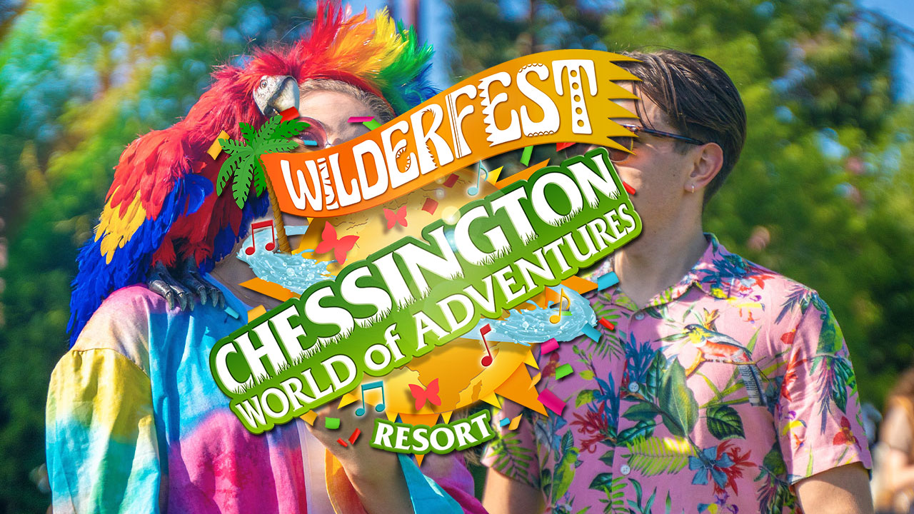 Go ‘Wilderfest’ This Summer