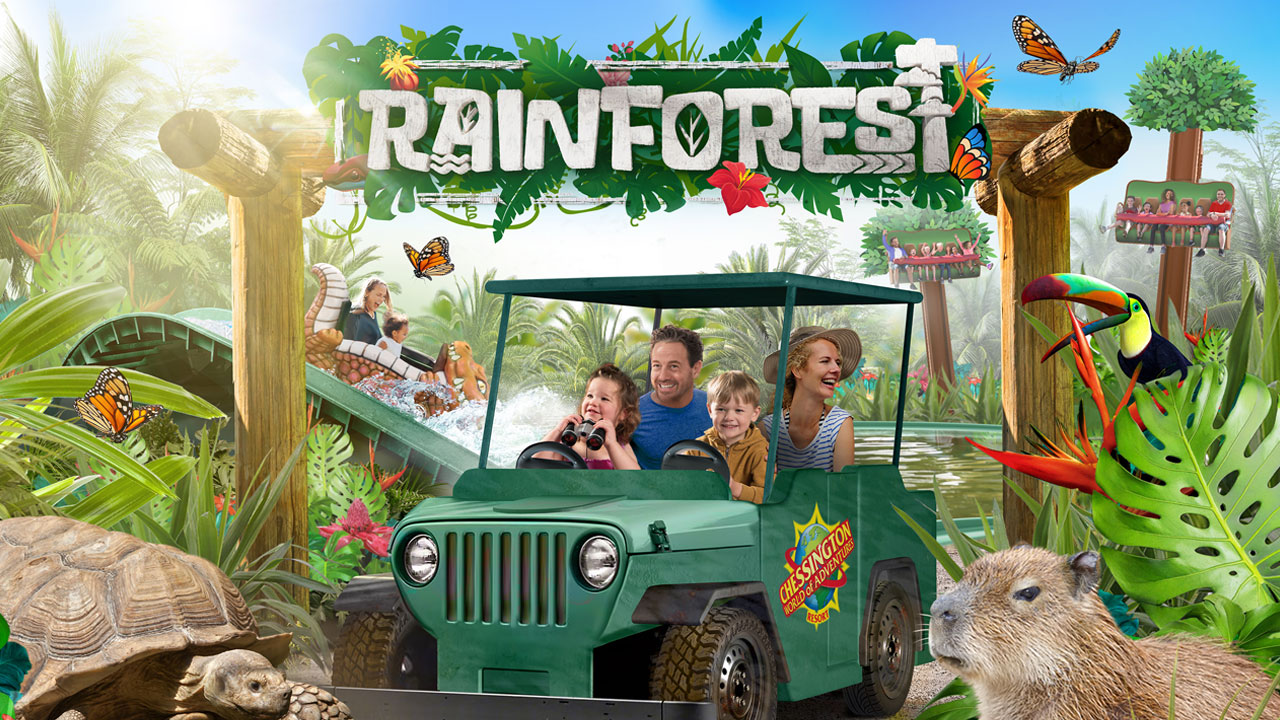 New For 2020: The Rainforest